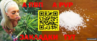 Альфа ПВП Кандалакша