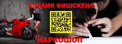 стафф Кингисепп