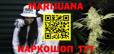 стафф Кингисепп