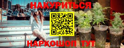 прущие грибы Кинель