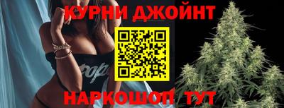 Альфа ПВП Кандалакша