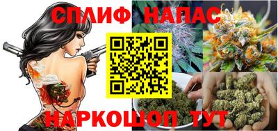 стафф Кингисепп