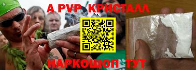 стафф Кингисепп