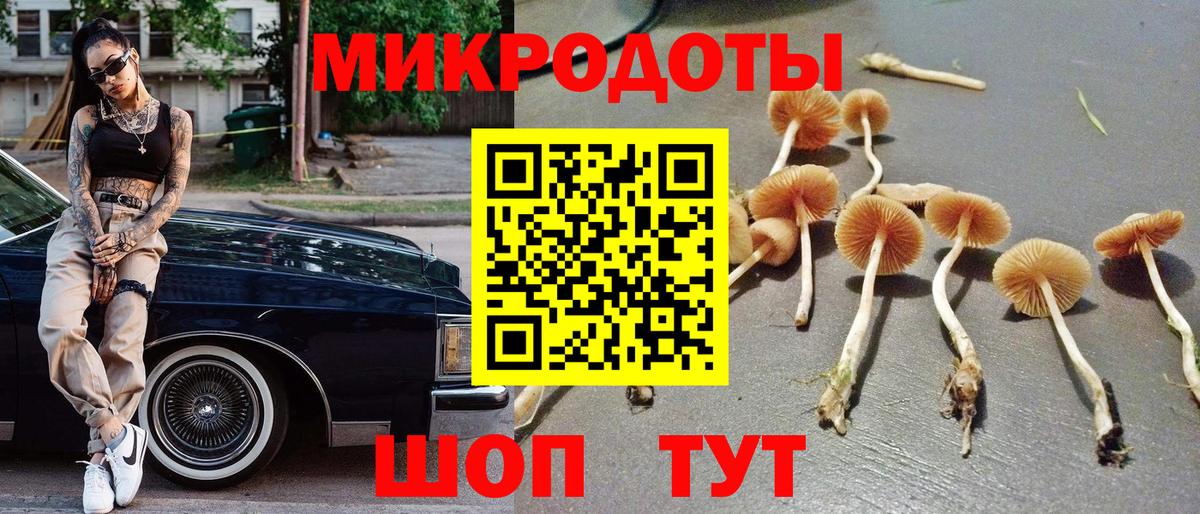 Краснодар  Псилоцибиновые грибы Psilocybine cubensis  Вход с VPN  Галлюциногенные грибы прущие грибы 